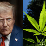 NuggMD poll graphic showing 83 percent of cannabis consumers support Trump Schedule III rescheduling executive order 2026