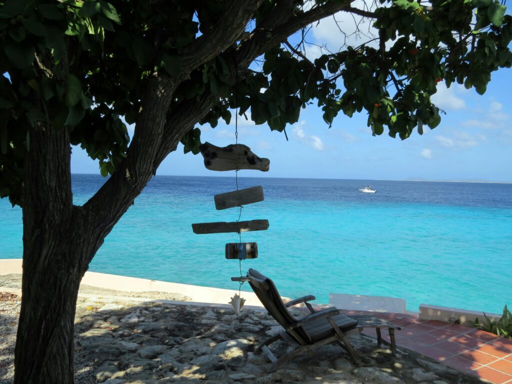 Types of Weed Pens Explained: Oil Pens, Dab Pens and Flower Vapes