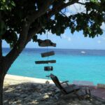 Types of Weed Pens Explained: Oil Pens, Dab Pens and Flower Vapes