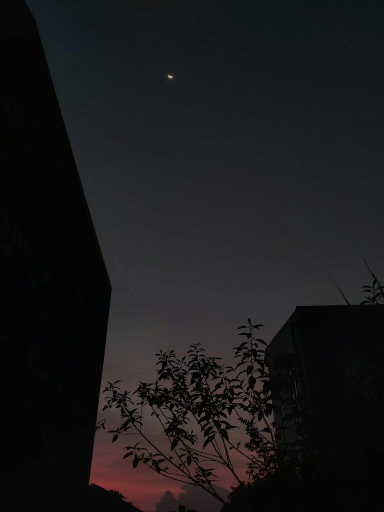 Live Resin vs Distillate: Which Cannabis Extract Should You Choose?