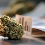 Cannabis flower with visible trichomes beside a lab vial and printed chromatogram, illustrating terpene profiles versus THC percentage